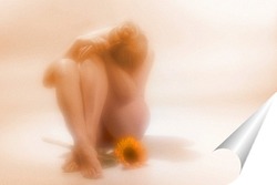   Постер Flower Erotica