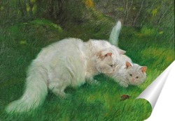 Белая кошка и бабочки 