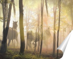   Постер Лошади в лесу