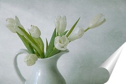   Постер Белые тюльпаны 