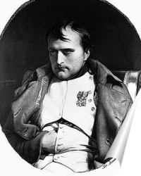  Наполеон (8)