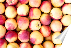   Постер Background of nectarines