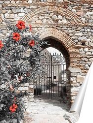  Красные цветы перед аркой в крепости Малаги