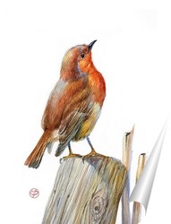   Постер Птаха