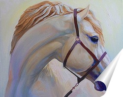   Постер Белая лошадь