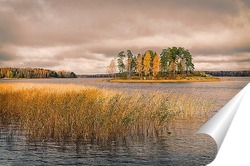  Осень в парке Монрепо.