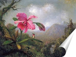   Постер Орхидея и колибри возле горного водопада, 1902