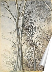   Постер Деревья в лесу