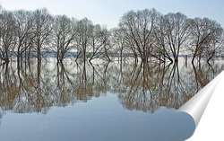   Постер Весенние кружева