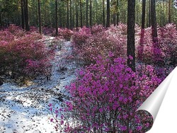  Декоративное панно "Хамелеон.Ночь."