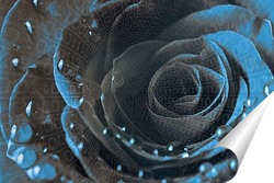   Постер Цифровая роза