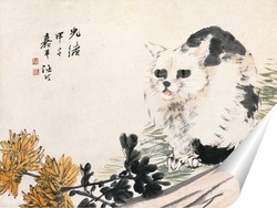   Постер Хризантема и кошка