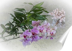   Постер Орхидея и бамбук