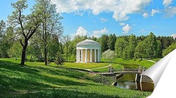  Весна в Павловском парке