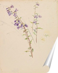  Осенний букет