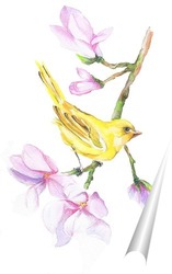   Постер Птица на ветке акварель