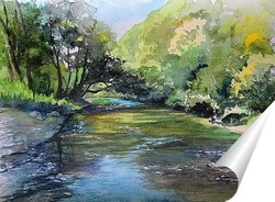  Ветки черноплодной и калины