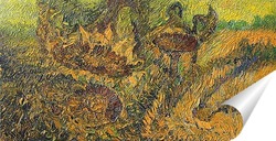  Ромашки