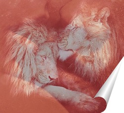   Постер Влюбленные львы