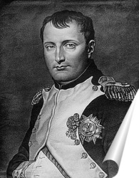  Наполеон (9)