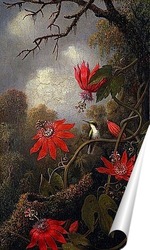   Постер Колибри и пассифлора