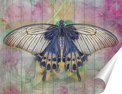   Постер Синяя бабочка