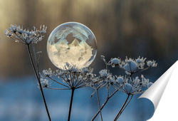  Замёрзший мыльный пузырь на снегу