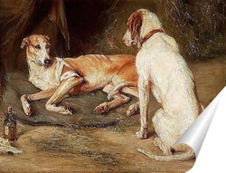   Постер Две собаки