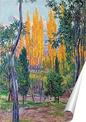  Тополь Размышления о реке