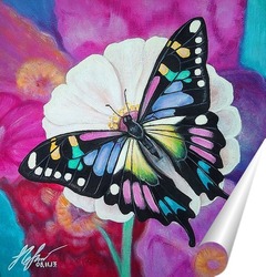   Постер Бабочка на цветке.