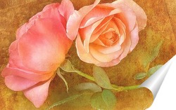  Розовые розы
