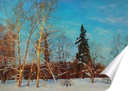   Постер Деревья в снегу .Мариенбург. Гатчина. 