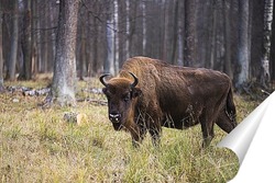  Воробей запел