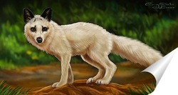  Белый волк