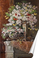  полевые цветы