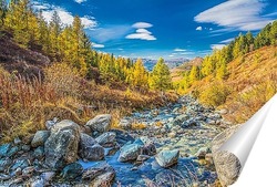  Осень в парке Монрепо.