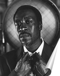   Постер Don Cheadle-2