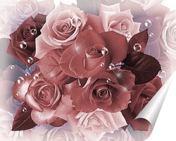   Постер розы