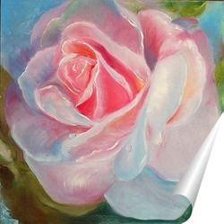   Постер Розовая роза