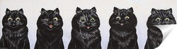   Постер Пять черных кошек