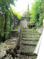   Постер Улочки Коренно плинио
