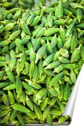   Постер Зеленые ростки перца