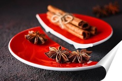   Постер Корица и анис на красной расколотой тарелке.