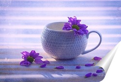  С перышком