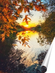   Постер Осенний парк