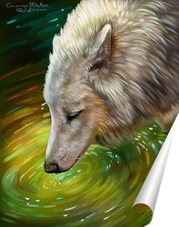   Постер Белый волк