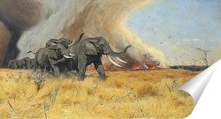   Постер Слоны