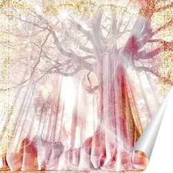  Березы – шторки