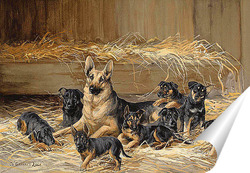   Постер Немецкая овчарка со щенками