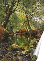   Постер Лесной поток